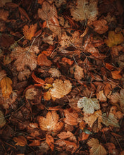 Carica l'immagine nel visualizzatore di Gallery, Lume - Candela Pumpkin Spice