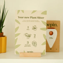 Carica l'immagine nel visualizzatore di Gallery, Pepin Olla Terracotta