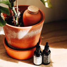 Carica l'immagine nel visualizzatore di Gallery, Pepin Olla Terracotta