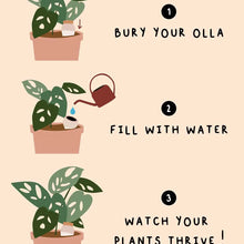Carica l'immagine nel visualizzatore di Gallery, Pepin Olla Verde