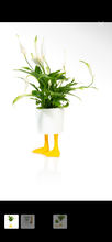 Carica l'immagine nel visualizzatore di Gallery, Bitten - Duck Feet Vaso
