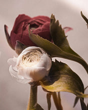 Carica l&#39;immagine nel visualizzatore di Gallery, Lume - Candela Rose Santal

