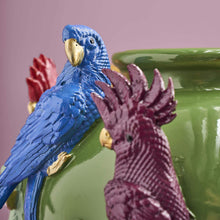 Carica l'immagine nel visualizzatore di Gallery, Werns- Vaso Pappagalli
