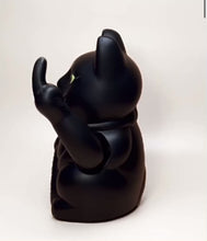 Carica e avvia il video nel visualizzatore di galleria, Angry Cat Fxck - Gatto dito medio
