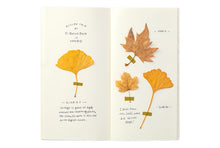 Carica l&#39;immagine nel visualizzatore di Gallery, Traveler’s Notebook Regular Crema n. 025 - Taccuino Ricarica
